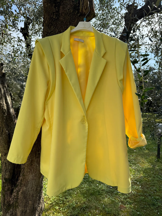 Blazer Fly