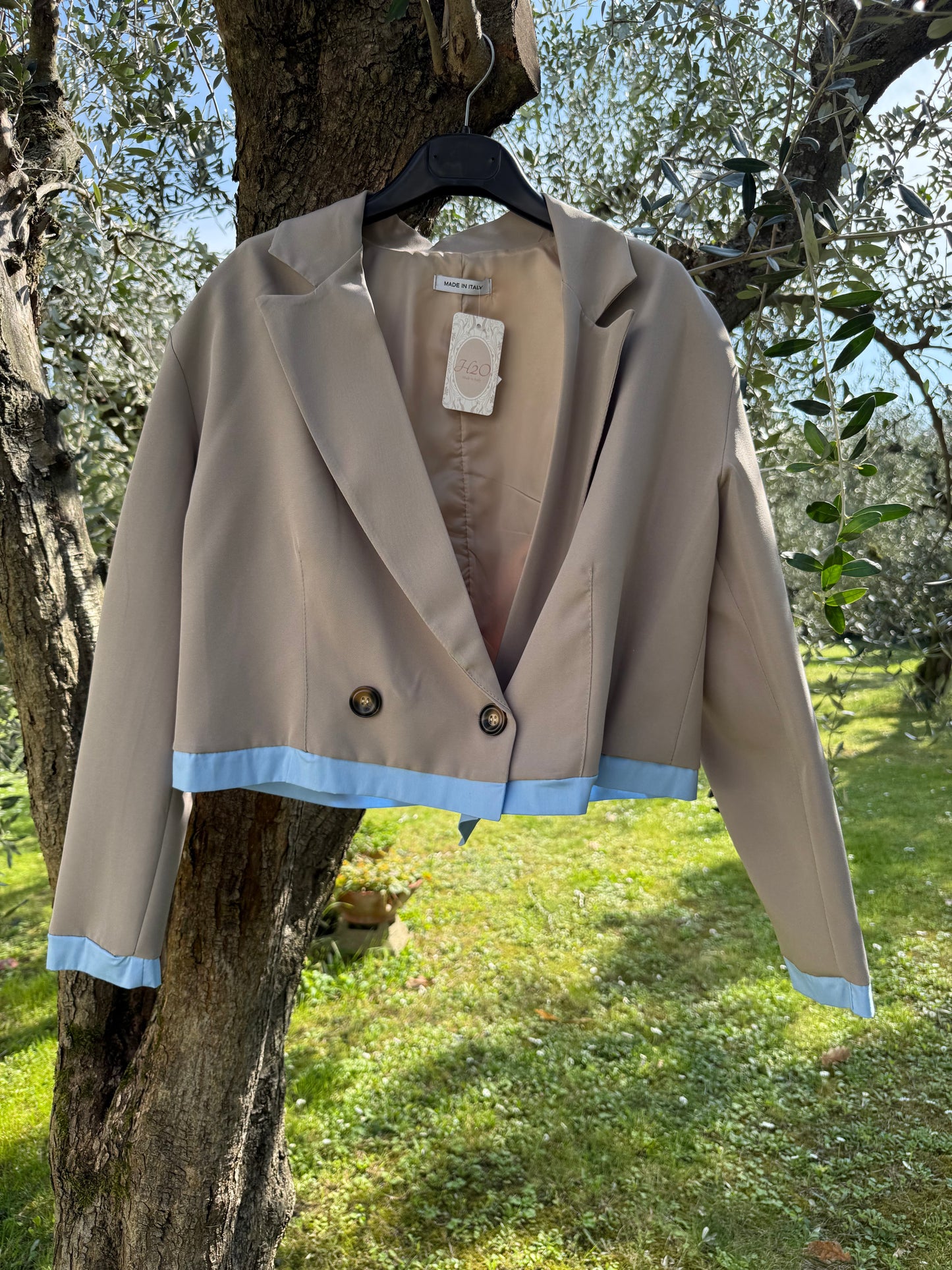 Blazer Crop