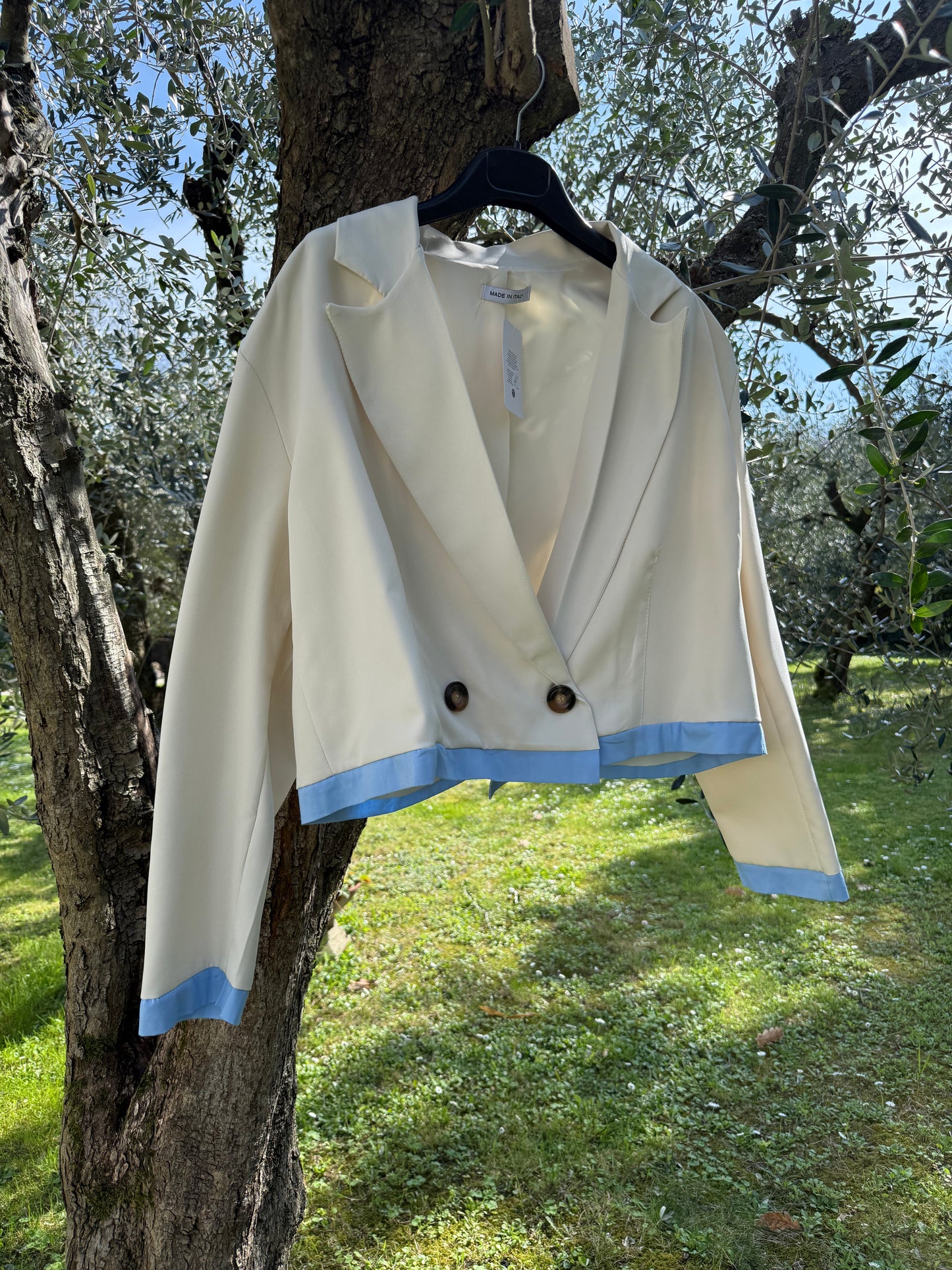 Blazer Crop