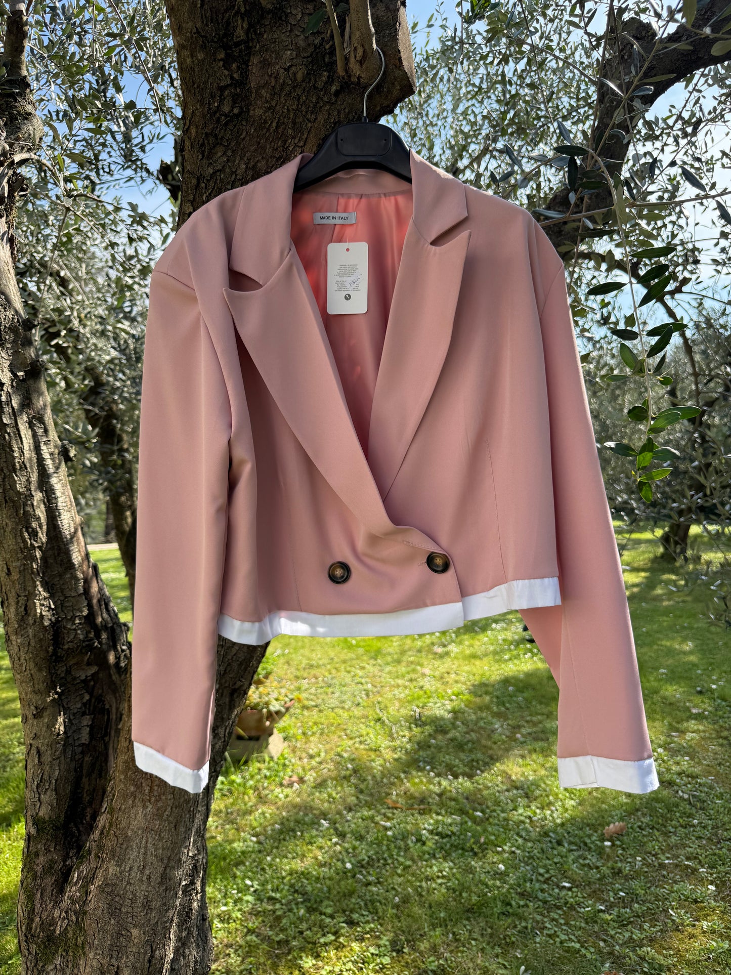 Blazer Crop