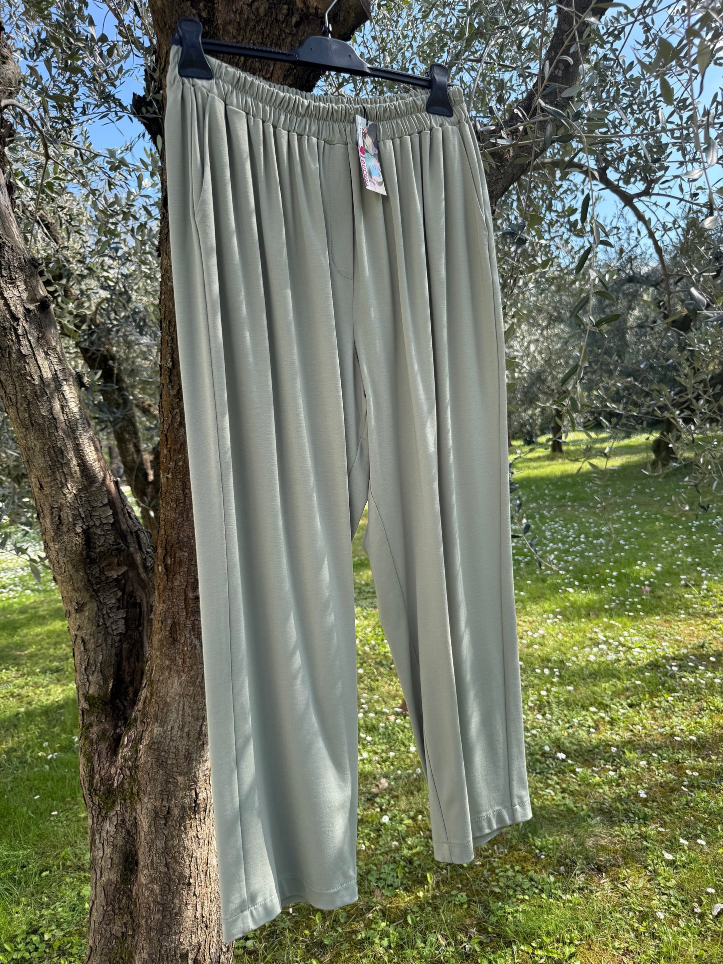 Jogger Salvia