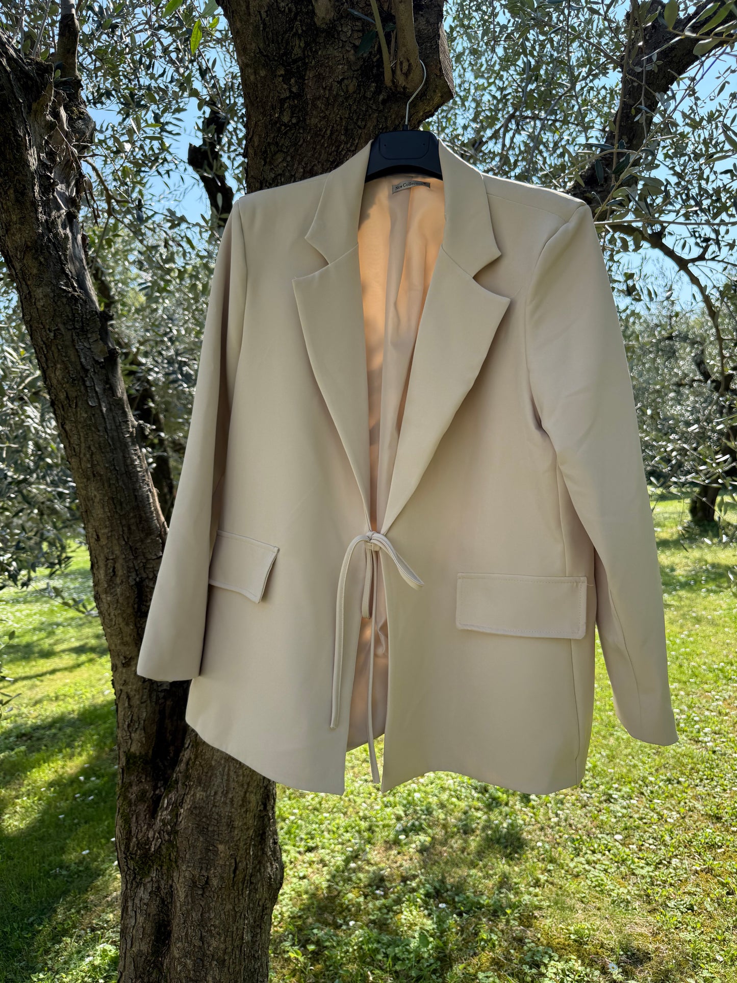 Blazer Benny