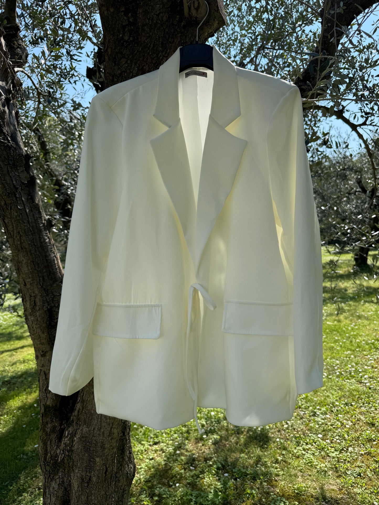 Blazer Benny