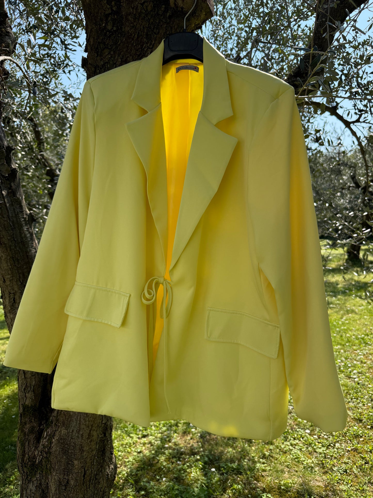 Blazer Benny