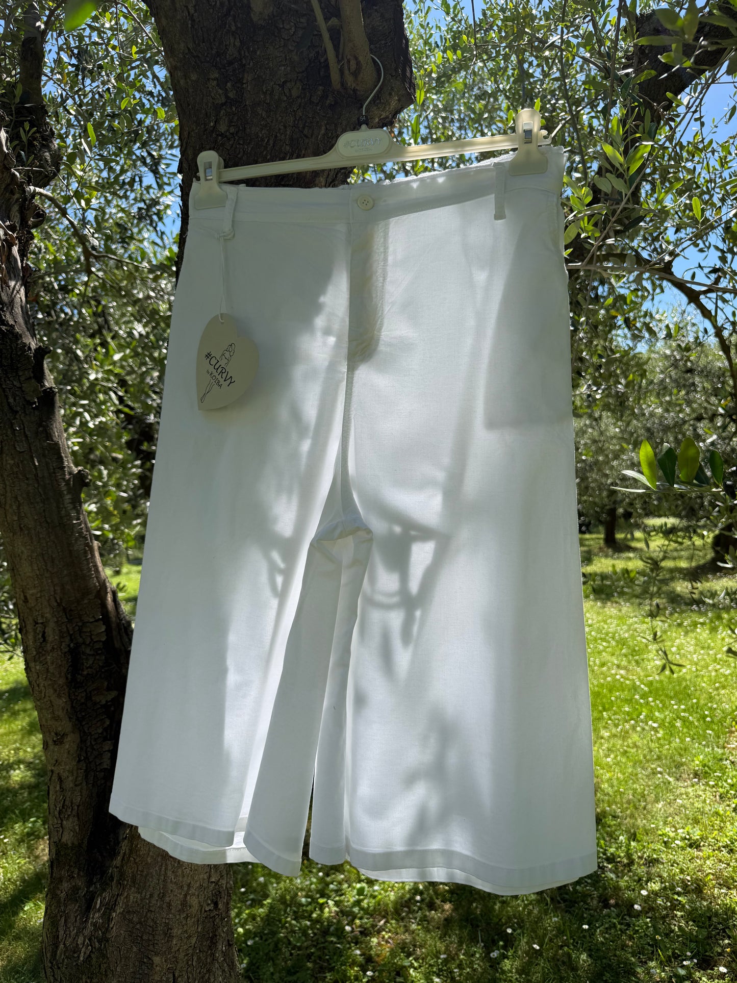 Bermuda Basic