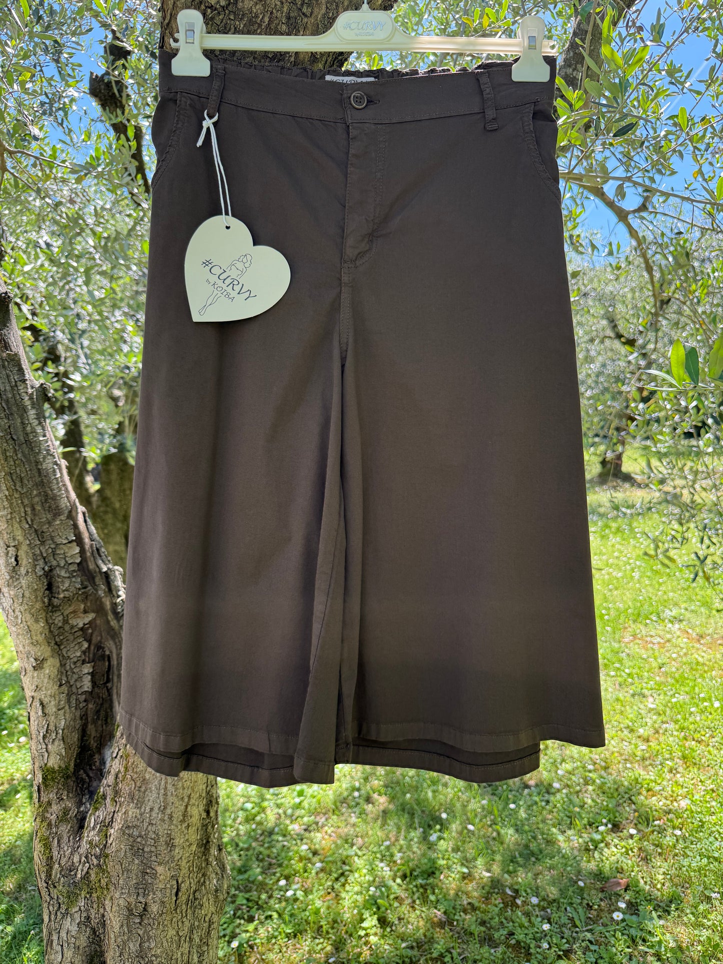 Bermuda Basic