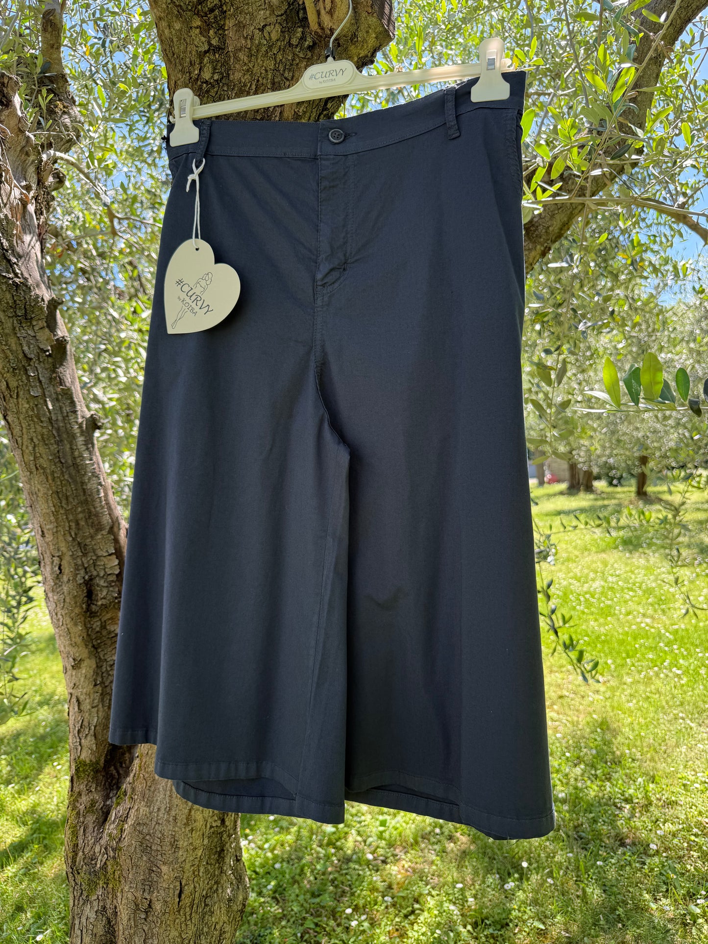 Bermuda Basic