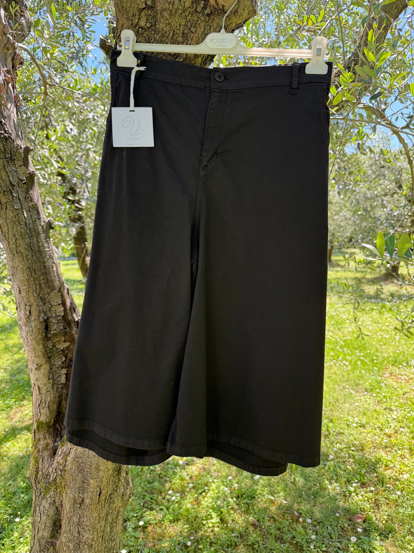 Bermuda Basic