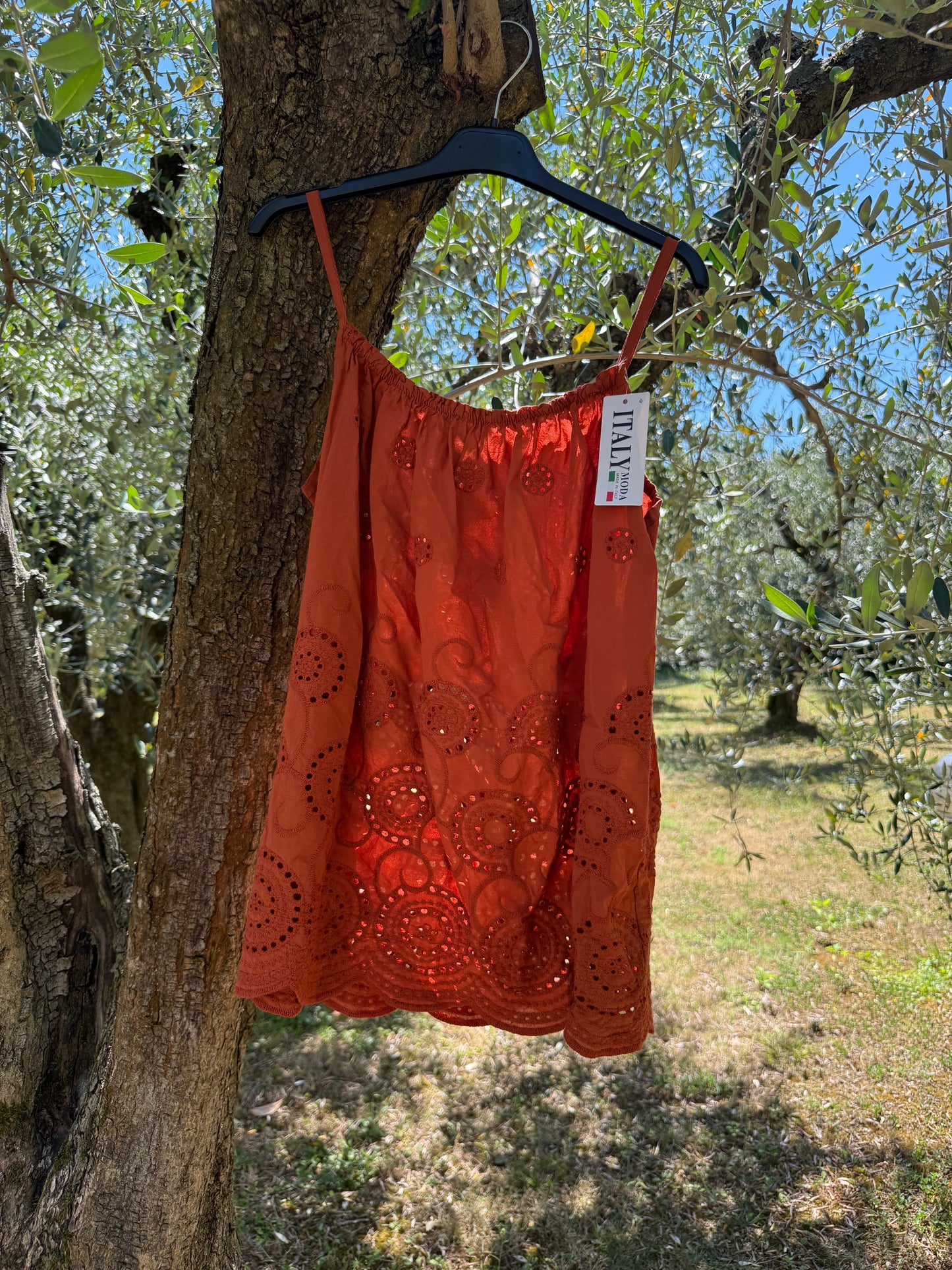 Completo Sangallo