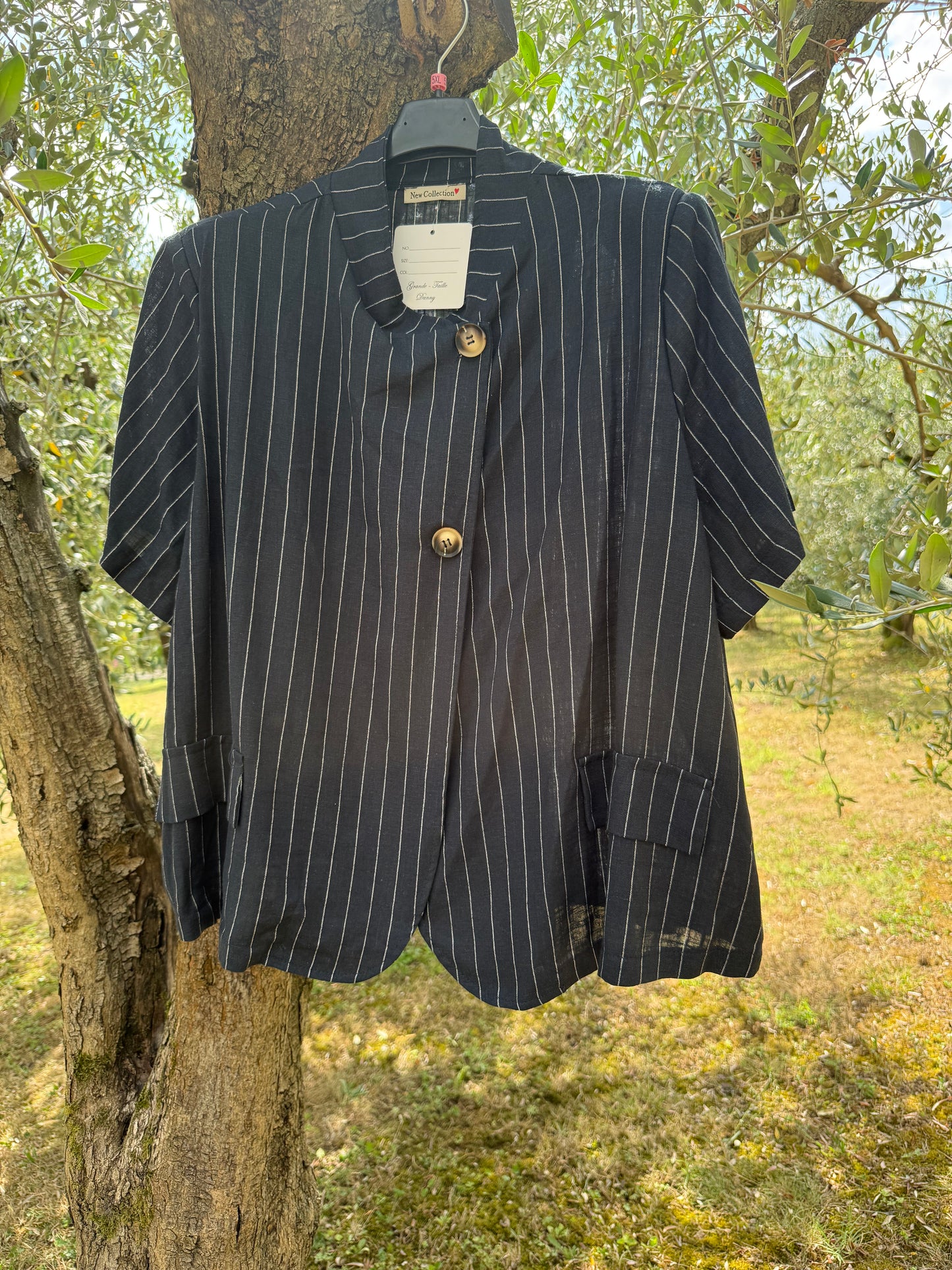 Blazer Gessato